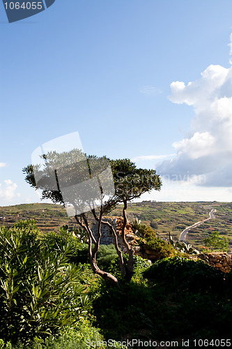 Image of Beautiful landscape in Gozo Island, Malta