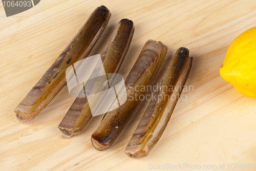 Image of Razor clams