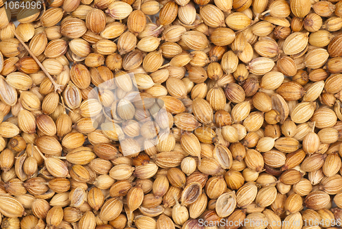 Image of Coriander seeds