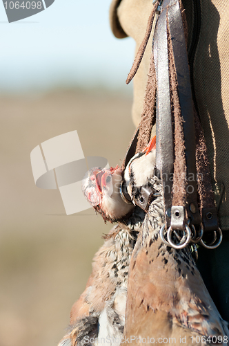 Image of Hunting still life