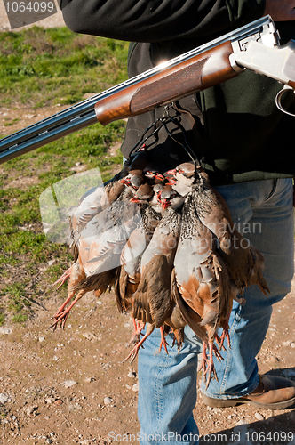 Image of Hunting still life