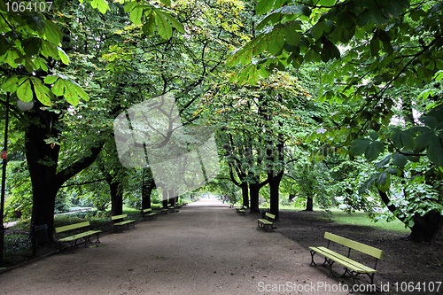 Image of Warsaw park