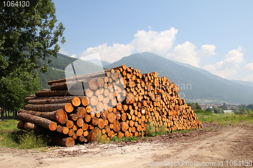 Image of Wooden logs