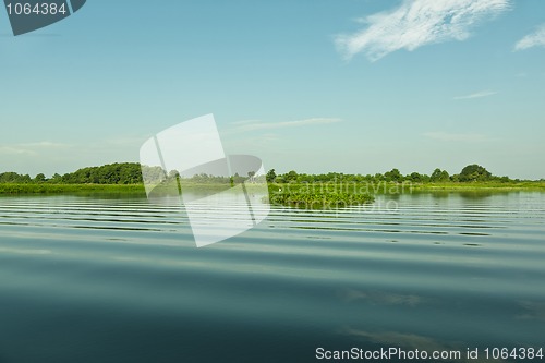 Image of Calm morning on the lake