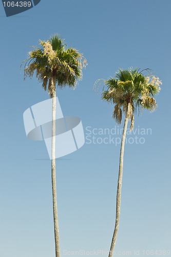 Image of Vacation background