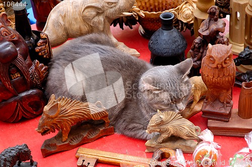 Image of Cute funny gray cat sleeping among antique decor objects