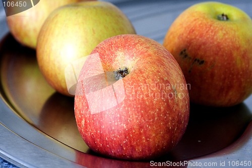 Image of apples