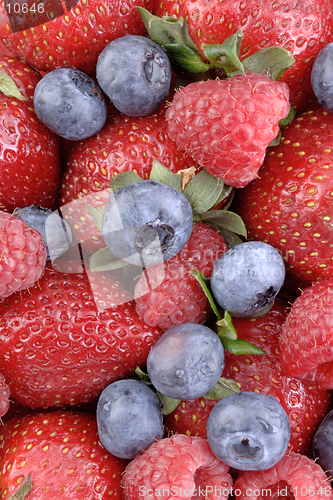 Image of A mouthwatering vertical display of the strawberry, blueberry, and raspberry. (macro, 12MP camera)