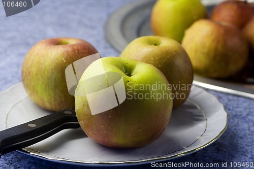 Image of wet apple