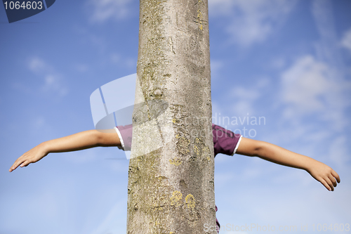 Image of Loving nature