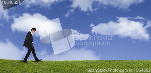 Image of Businessman walking on the grass