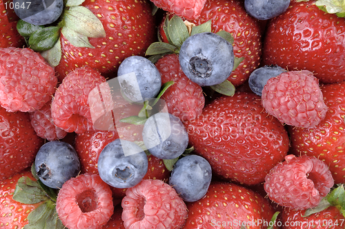 Image of A mouthwatering horizontal display of the strawberry, blueberry, and raspberry. (macro, 12MP camera)