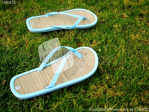 Image of thongs on the grass