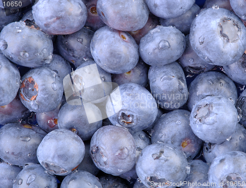 Image of A high resolution horizontal macro of freshly washed bluberries. (12MP camera)