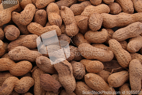 Image of Peanuts in shells