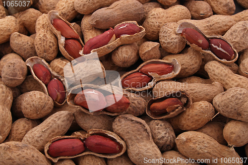 Image of Peanuts in shells