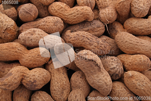 Image of Peanuts in shells