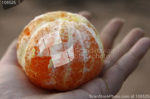 Image of Hand offering mandarin