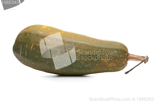 Image of Single fresh pumpkin