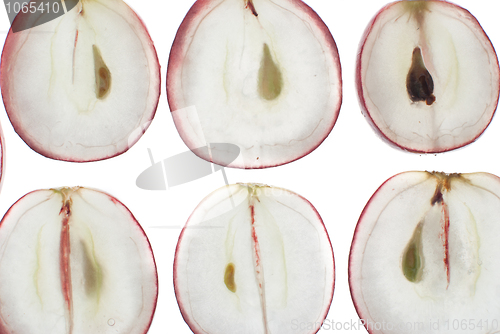 Image of Translucent slice of red grape
