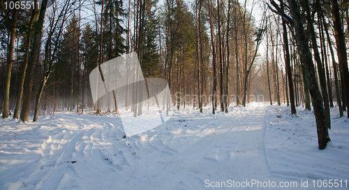 Image of Parting of the ways inside misty forest