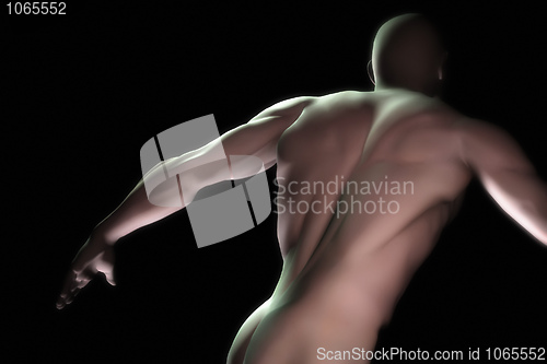 Image of male torso