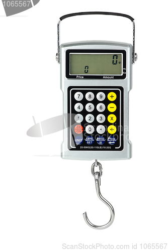 Image of Digital fishhook scales with built-in calculator