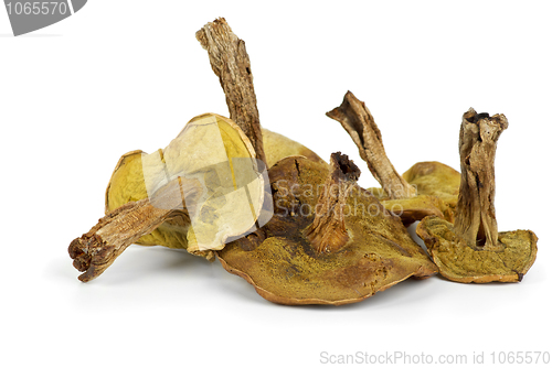 Image of Few dried cepe mushrooms