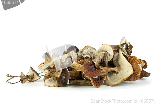 Image of Dried cepe mushrooms on the rope