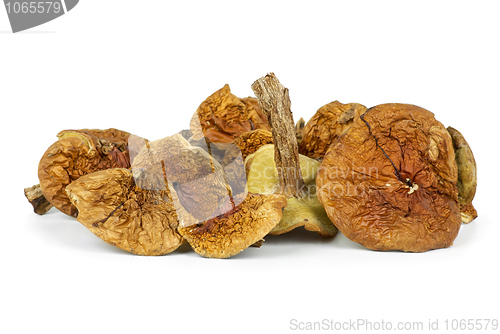 Image of Small pile of dried cepe mushrooms