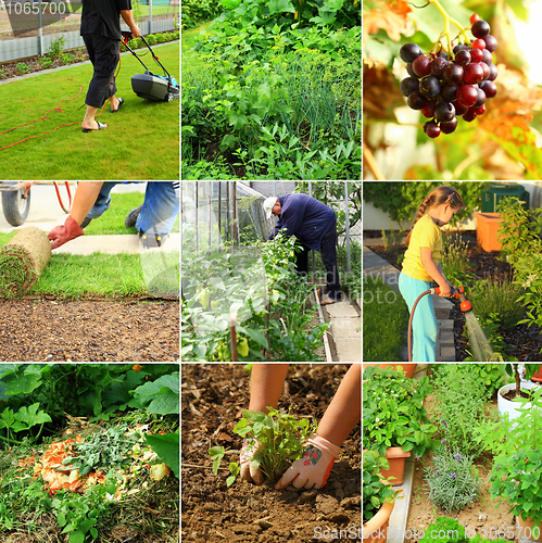 Image of Gardening