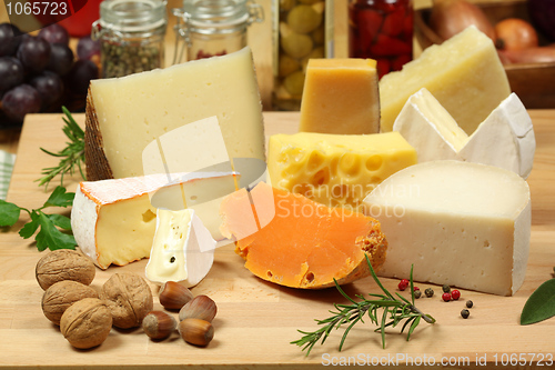 Image of Cheese variety