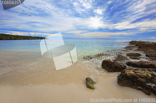 Image of Turquoise Curacao