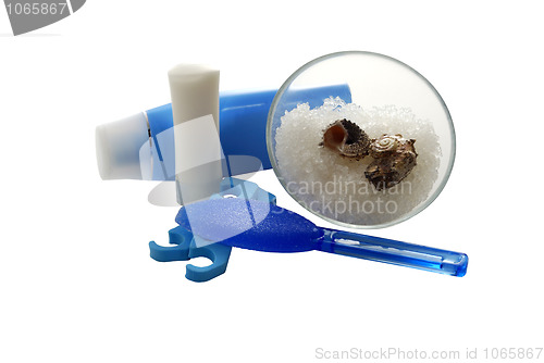 Image of Blue foot SPA set with salt and cream