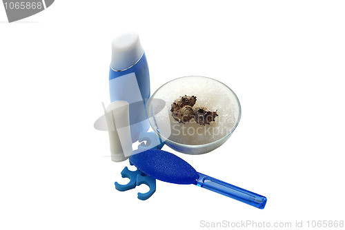 Image of Blue foot SPA set with salt and shells