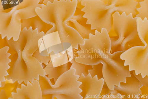 Image of Macaroni