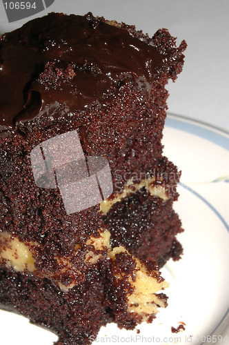 Image of moist chocolate cake