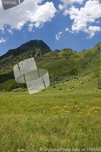 Image of Mountain Meadow