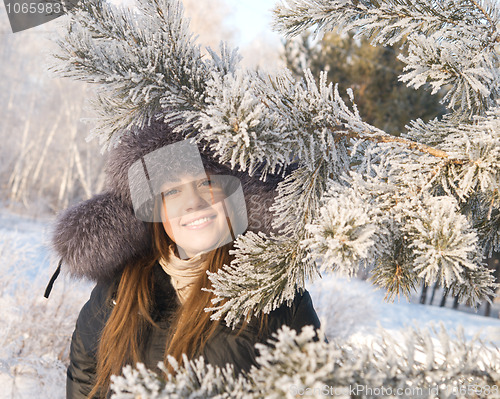Image of winter