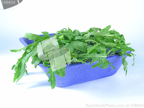 Image of fresh rucola