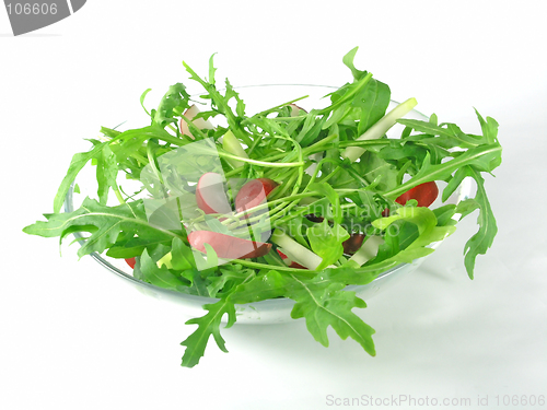 Image of fresh rucola