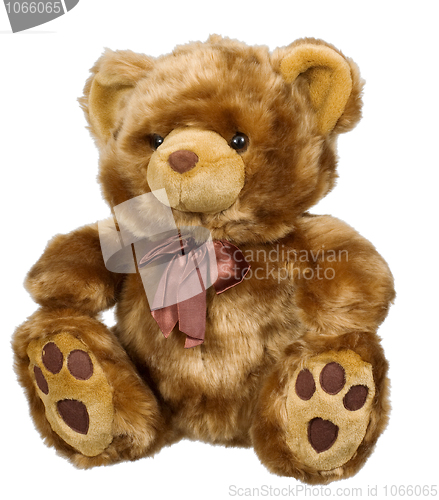 Image of Toy bear on a white background