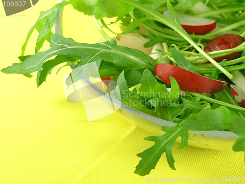 Image of fresh rucola