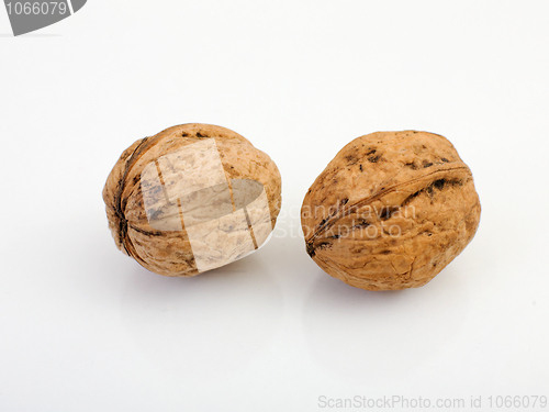 Image of Two nuts