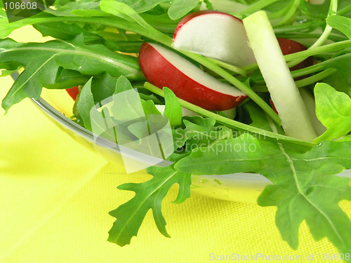 Image of fresh rucola
