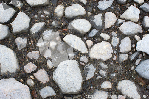 Image of Stony ground