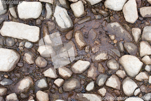 Image of Stony ground