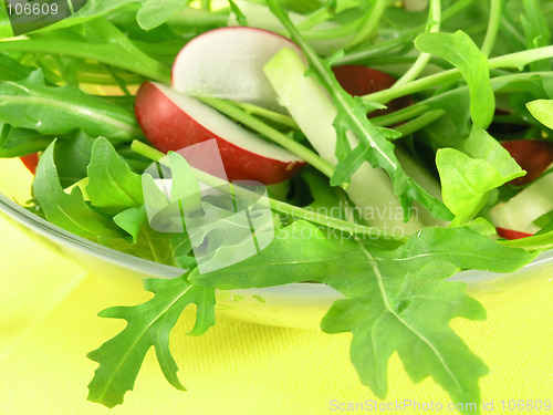 Image of fresh rucola salad with radish and kohlrabi