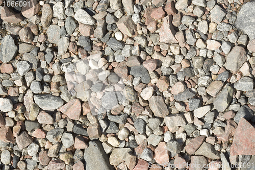 Image of Stony ground