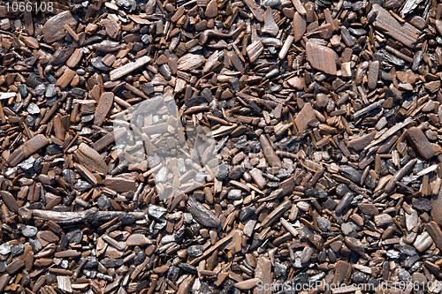 Image of Rotten chips on coast of lake